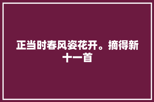 正当时春风姿花开。摘得新十一首