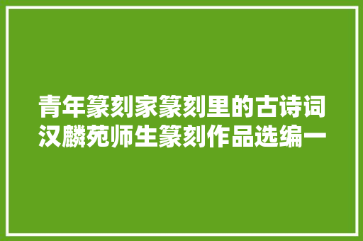 青年篆刻家篆刻里的古诗词汉麟苑师生篆刻作品选编一
