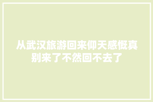 从武汉旅游回来仰天感慨真别来了不然回不去了