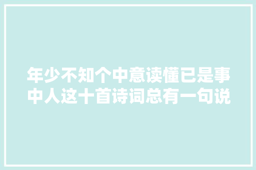 年少不知个中意读懂已是事中人这十首诗词总有一句说中你