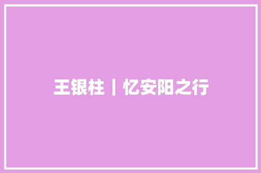 王银柱｜忆安阳之行