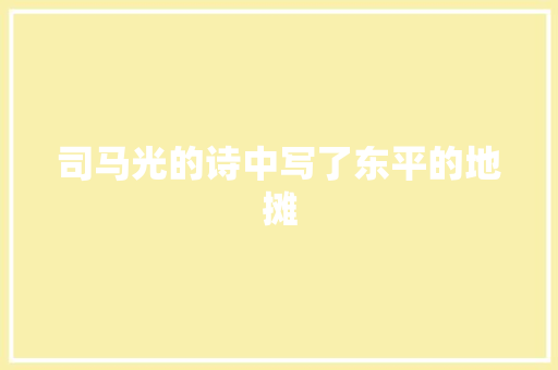 司马光的诗中写了东平的地摊