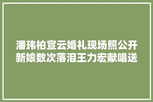 潘玮柏宣云婚礼现场照公开新娘数次落泪王力宏献唱送祝福