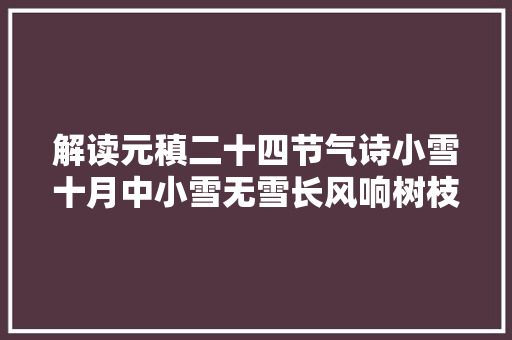 解读元稹二十四节气诗小雪十月中小雪无雪长风响树枝