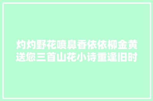 灼灼野花喷鼻香依依柳金黄送您三首山花小诗重逢旧时岁月静好