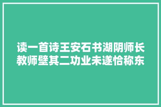 读一首诗王安石书湖阴师长教师壁其二功业未遂恰称东山之志