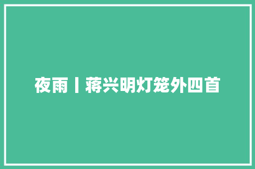 夜雨丨蒋兴明灯笼外四首