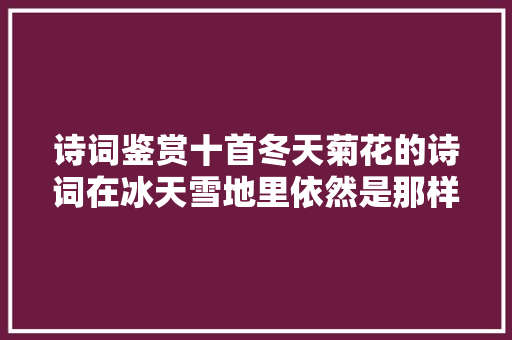 诗词鉴赏十首冬天菊花的诗词在冰天雪地里依然是那样美丽