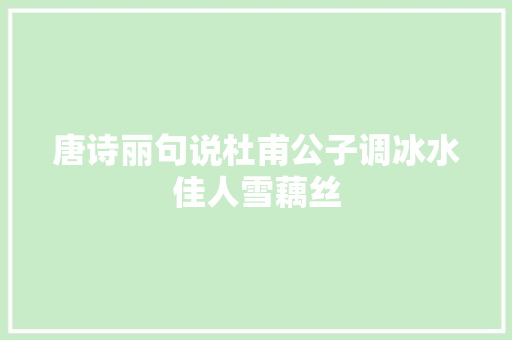 唐诗丽句说杜甫公子调冰水佳人雪藕丝