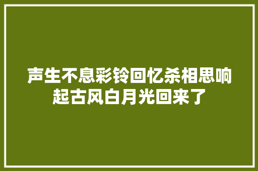 声生不息彩铃回忆杀相思响起古风白月光回来了