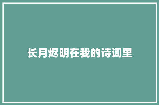 长月烬明在我的诗词里