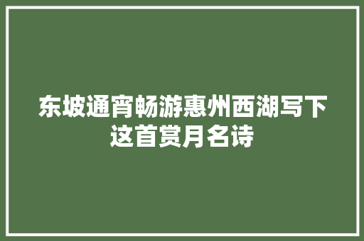 东坡通宵畅游惠州西湖写下这首赏月名诗