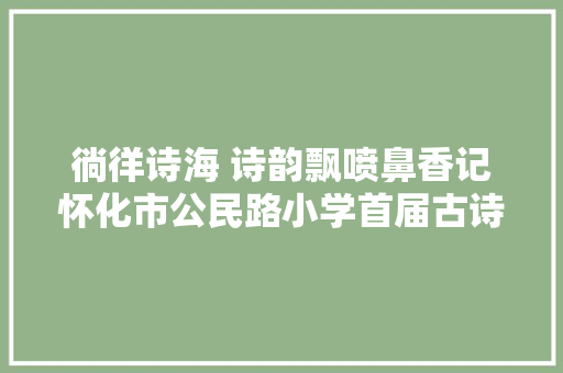 徜徉诗海 诗韵飘喷鼻香记怀化市公民路小学首届古诗词大年夜赛