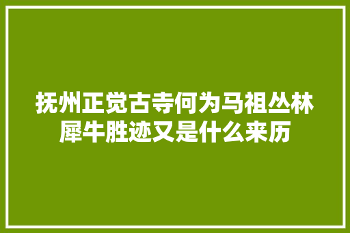 抚州正觉古寺何为马祖丛林犀牛胜迹又是什么来历