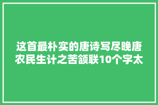 这首最朴实的唐诗写尽晚唐农民生计之苦颔联10个字太形象了