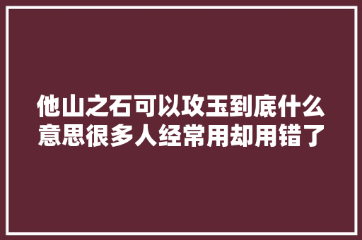 他山之石可以攻玉到底什么意思很多人经常用却用错了