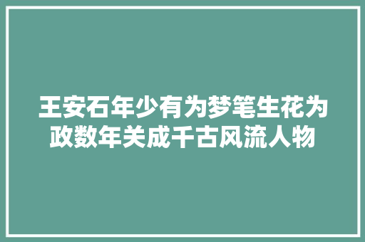 王安石年少有为梦笔生花为政数年关成千古风流人物