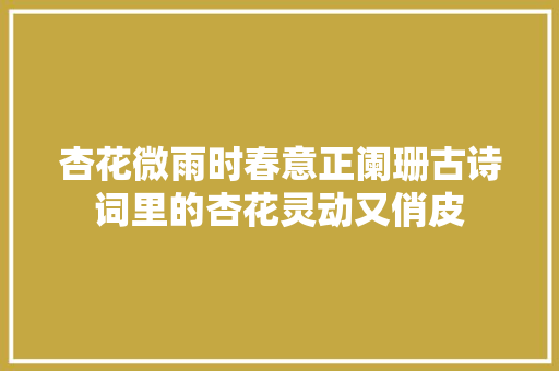 杏花微雨时春意正阑珊古诗词里的杏花灵动又俏皮