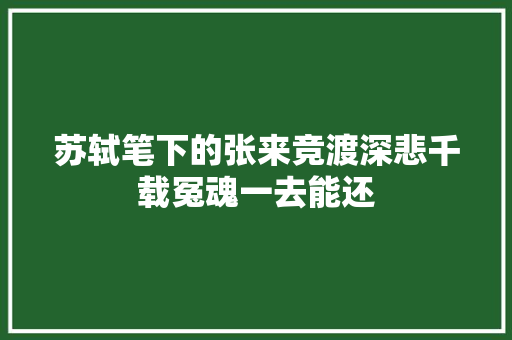 苏轼笔下的张来竞渡深悲千载冤魂一去能还