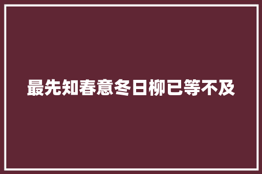 最先知春意冬日柳已等不及