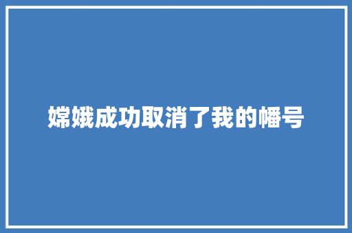 嫦娥成功取消了我的幡号