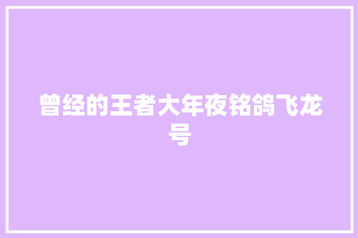 曾经的王者大年夜铭鸽飞龙号