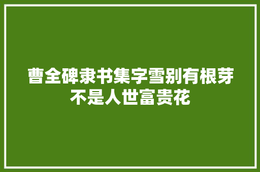 曹全碑隶书集字雪别有根芽不是人世富贵花