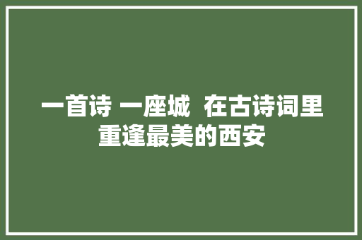 一首诗 一座城  在古诗词里重逢最美的西安