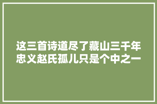 这三首诗道尽了藏山三千年忠义赵氏孤儿只是个中之一