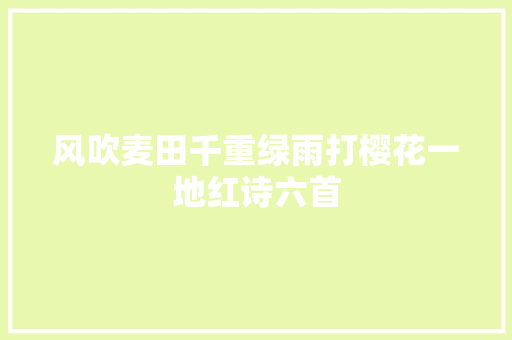 风吹麦田千重绿雨打樱花一地红诗六首