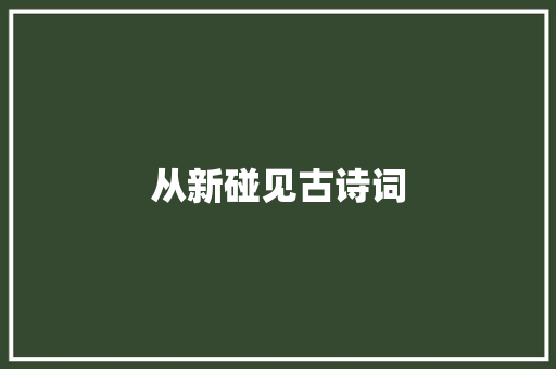 从新碰见古诗词