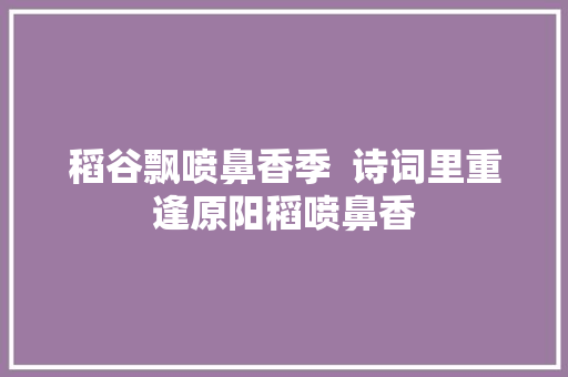 稻谷飘喷鼻香季  诗词里重逢原阳稻喷鼻香