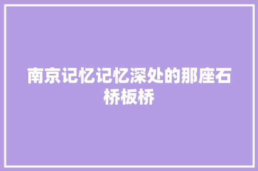 南京记忆记忆深处的那座石桥板桥