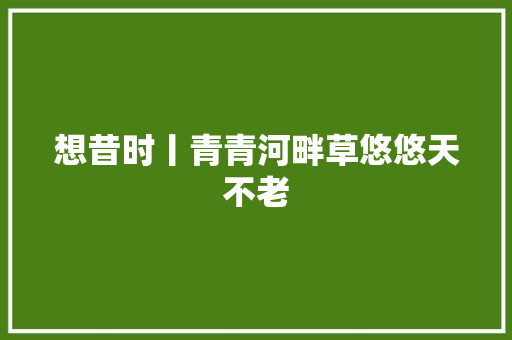 想昔时丨青青河畔草悠悠天不老