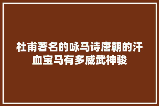 杜甫著名的咏马诗唐朝的汗血宝马有多威武神骏