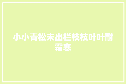 小小青松未出栏枝枝叶叶耐霜寒