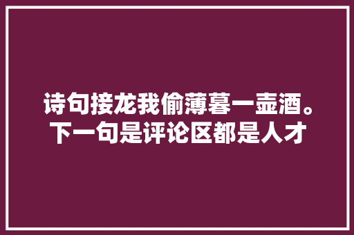 诗句接龙我偷薄暮一壶酒。下一句是评论区都是人才