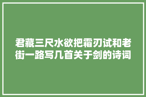 君藏三尺水欲把霜刃试和老街一路写几首关于剑的诗词