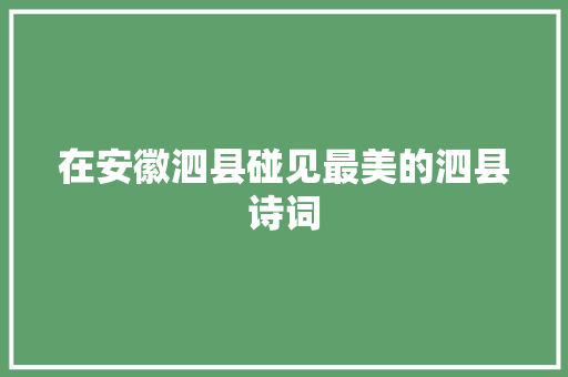 在安徽泗县碰见最美的泗县诗词