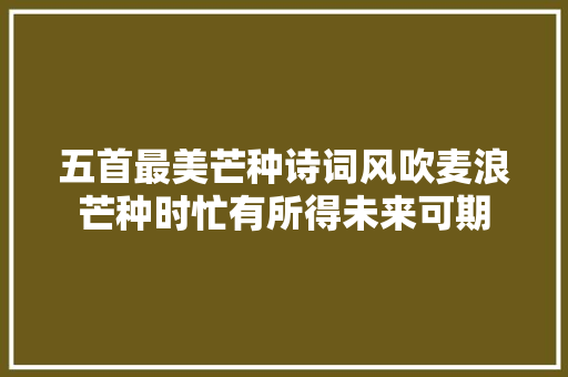 五首最美芒种诗词风吹麦浪芒种时忙有所得未来可期