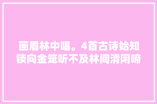 画眉林中唱。4首古诗始知锁向金笼听不及林间清闲啼