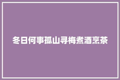 冬日何事孤山寻梅煮酒烹茶