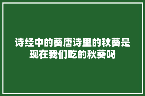 诗经中的葵唐诗里的秋葵是现在我们吃的秋葵吗