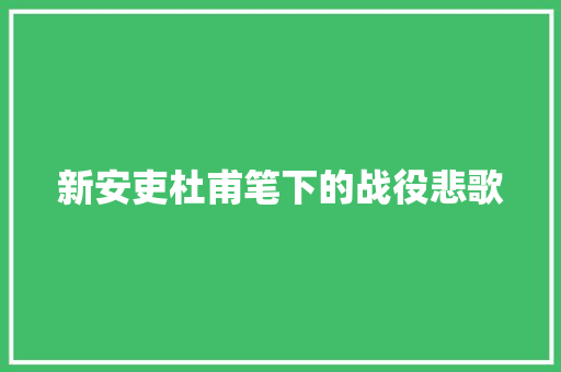 新安吏杜甫笔下的战役悲歌