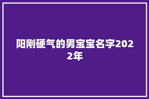 阳刚硬气的男宝宝名字2022年