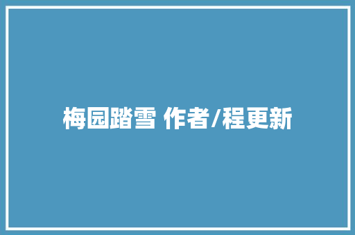 梅园踏雪 作者/程更新