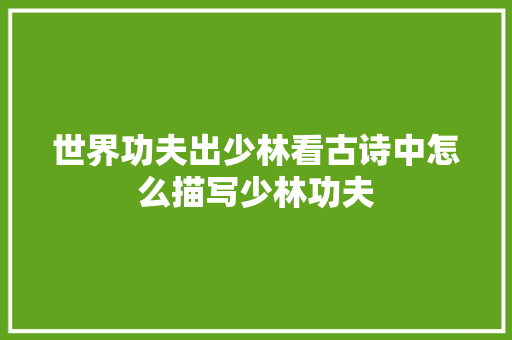 世界功夫出少林看古诗中怎么描写少林功夫