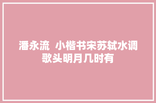 潘永流  小楷书宋苏轼水调歌头明月几时有