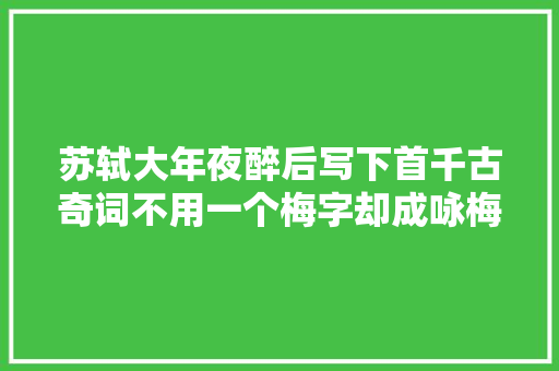 苏轼大年夜醉后写下首千古奇词不用一个梅字却成咏梅名篇大年夜写的服