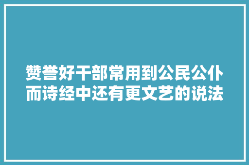 赞誉好干部常用到公民公仆而诗经中还有更文艺的说法